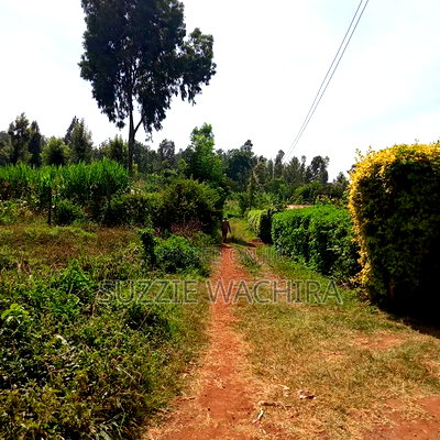 40*90ft Plots Within Kenol Town for Sale in Muranga County - Image 8