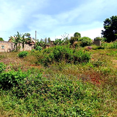 40*90ft Plots Within Kenol Town for Sale in Muranga County - Image 3