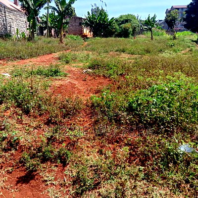 40*90ft Plots Within Kenol Town for Sale in Muranga County - Image 5