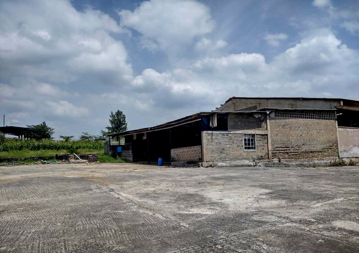 36-Acre Industrial Hub for Sale