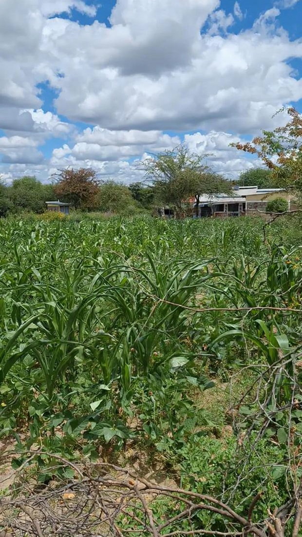 Residential Plots In Machakos