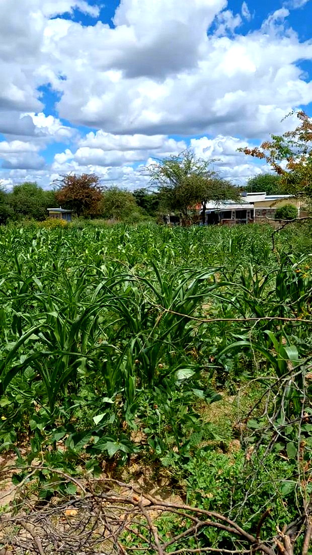 Residential Plots In Machakos