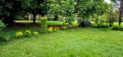 5bdrm Maisonette in Limo Hillside, Eldoret CBD for sale - Image 8