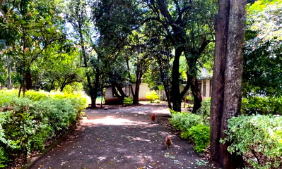 KSh 120M Garden Land in Kajiado CBD