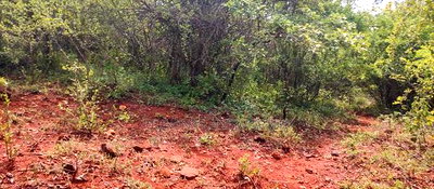 Embu County, Mariari 4.2 Acres Agricultural Farmland - Image 8