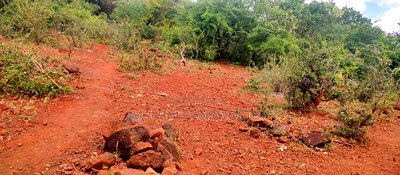 Embu County, Mariari 4.2 Acres Agricultural Farmland - Image 2