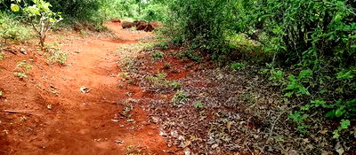 Embu County, Mariari 4.2 Acres Agricultural Farmland - Image 1