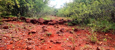 Embu County, Mariari 4.2 Acres Agricultural Farmland - Image 3