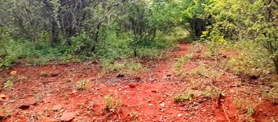 Embu County, Mariari 4.2 Acres Agricultural Farmland - Image 9