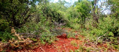 Embu County, Mariari 4.2 Acres Agricultural Farmland - Image 4