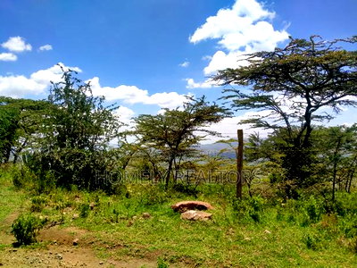 14 Acre Piece of Land in Kiserian, Kona Baridi Near Tarmac - Image 2