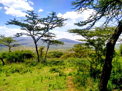 14 Acre Piece of Land in Kiserian, Kona Baridi Near Tarmac - Image 1