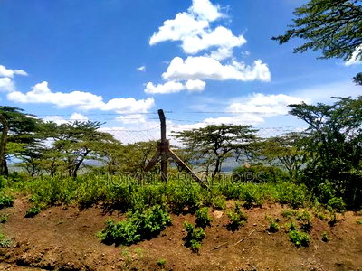 14 Acre Piece of Land in Kiserian, Kona Baridi Near Tarmac - Image 6