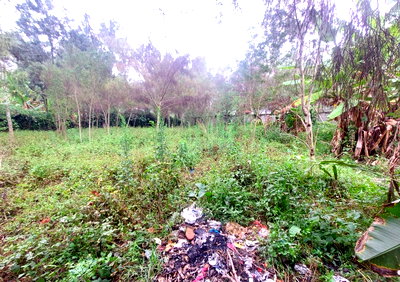 Quarter Acre Garden Plot in Karen