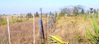 Land for Sale - Image 5