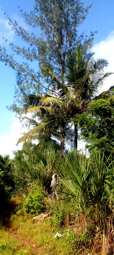 1 Acre Plot on Sale at Umoja on the New Mvindeni Beach Road. - Image 3