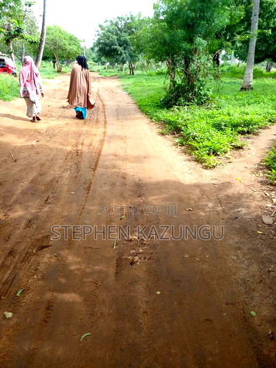 1 Acre Plot on Sale at Umoja on the New Mvindeni Beach Road. - Image 7