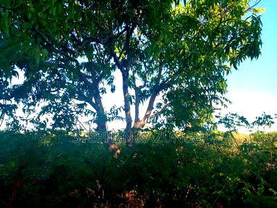 1 Acre Plot on Sale at Umoja on the New Mvindeni Beach Road. - Image 2