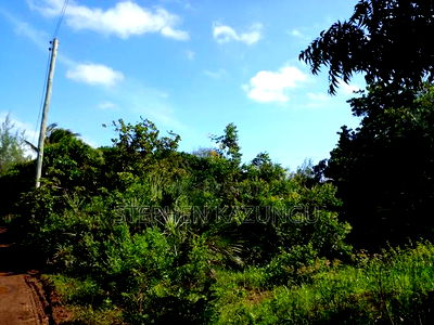 1 Acre Plot on Sale at Umoja on the New Mvindeni Beach Road. - Image 1