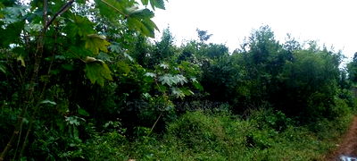 1 Acre Plot on Sale at Umoja on the New Mvindeni Beach Road. - Image 6