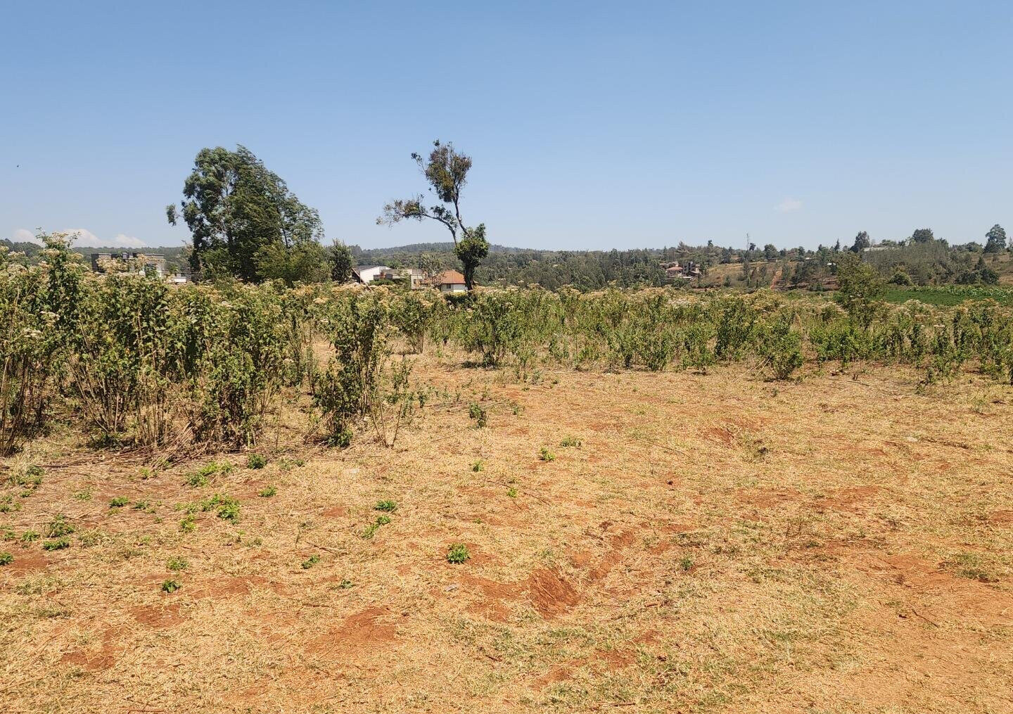 KSh 8K Plot in Kerarapon