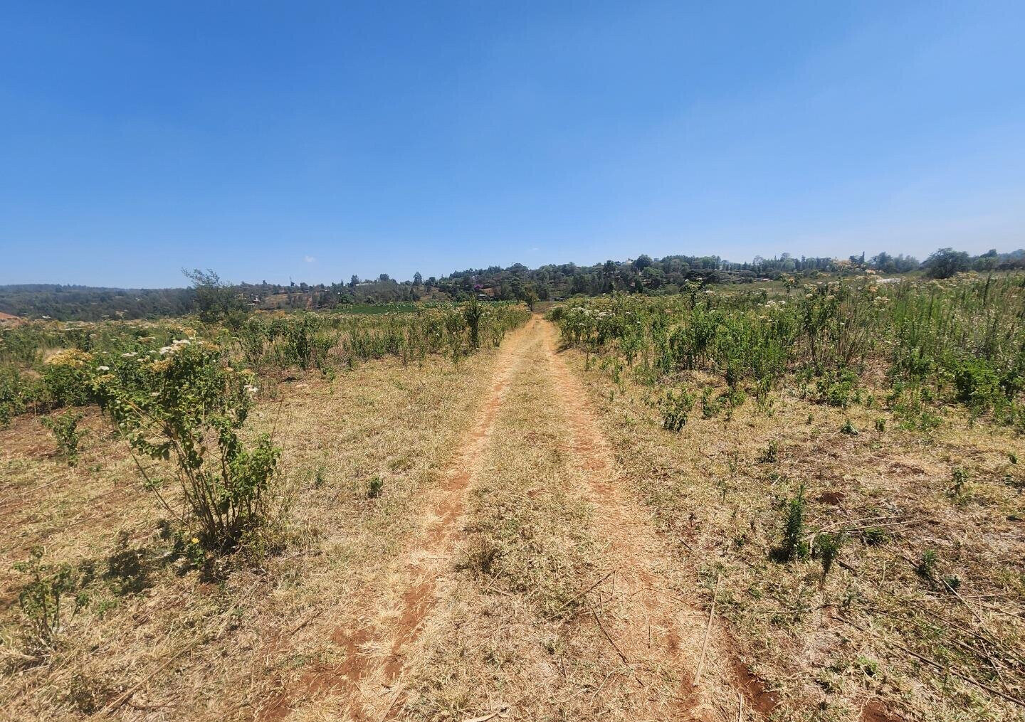 KSh 8K Plot in Kerarapon