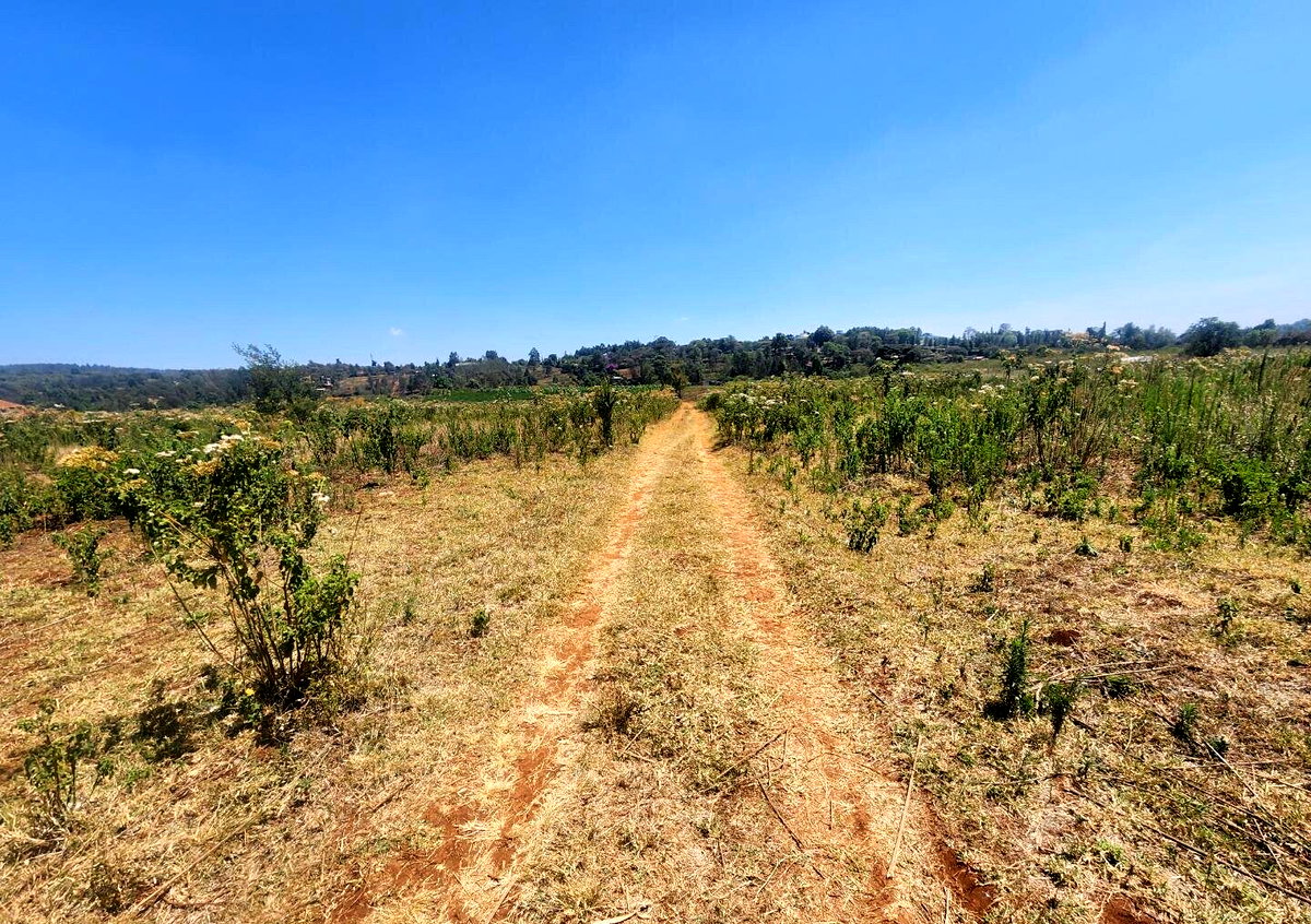 KSh 8K Plot in Kerarapon