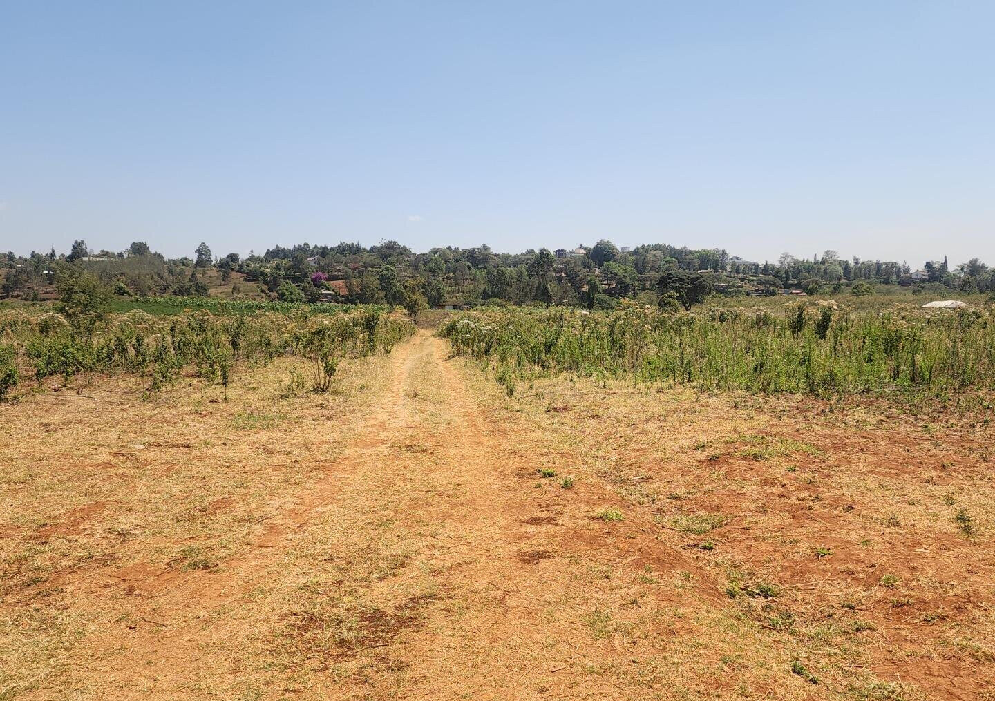 KSh 8K Plot in Kerarapon