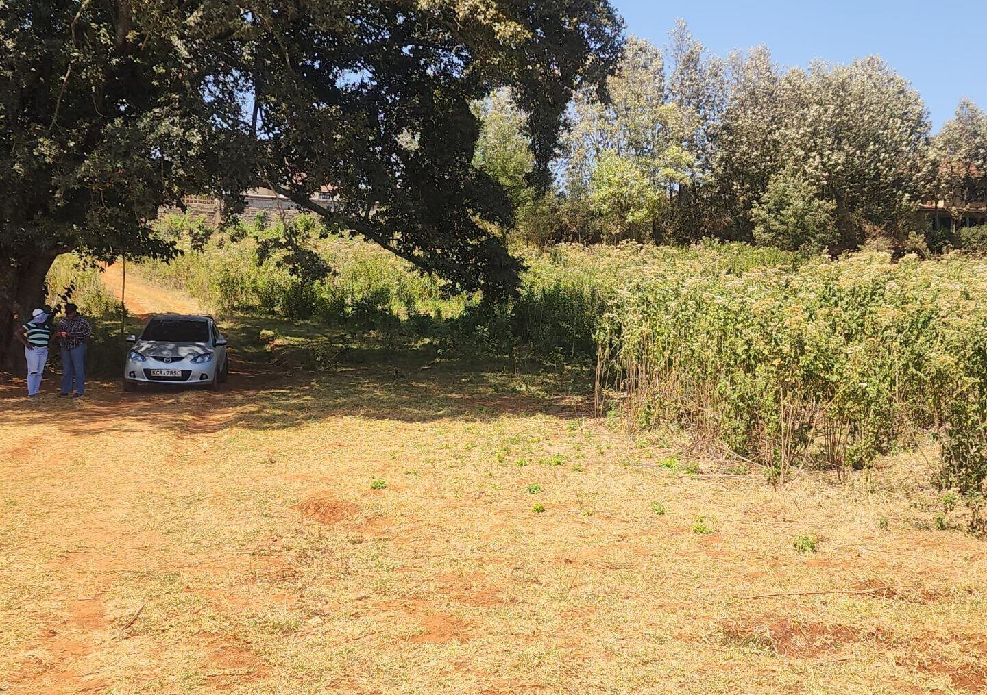 KSh 8K Plot in Kerarapon