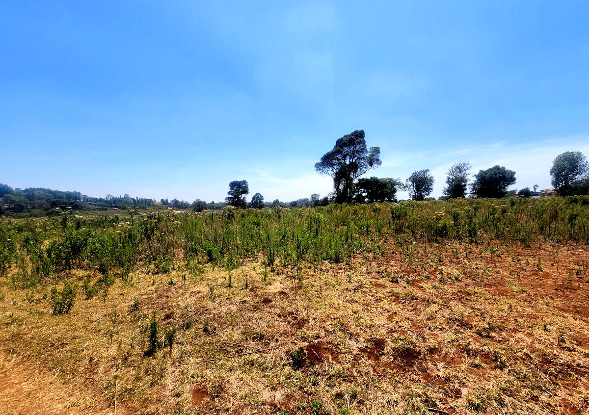 KSh 8K Plot in Kerarapon
