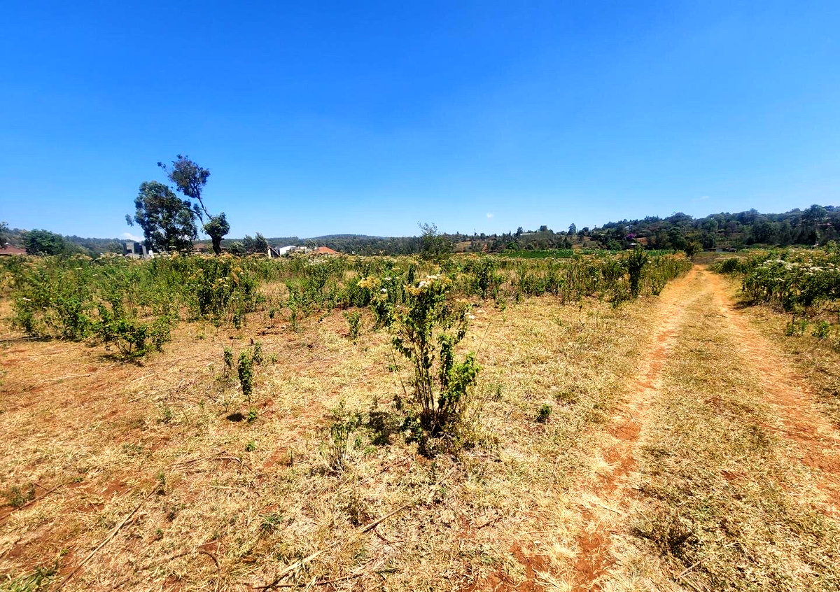 KSh 8K Plot in Kerarapon