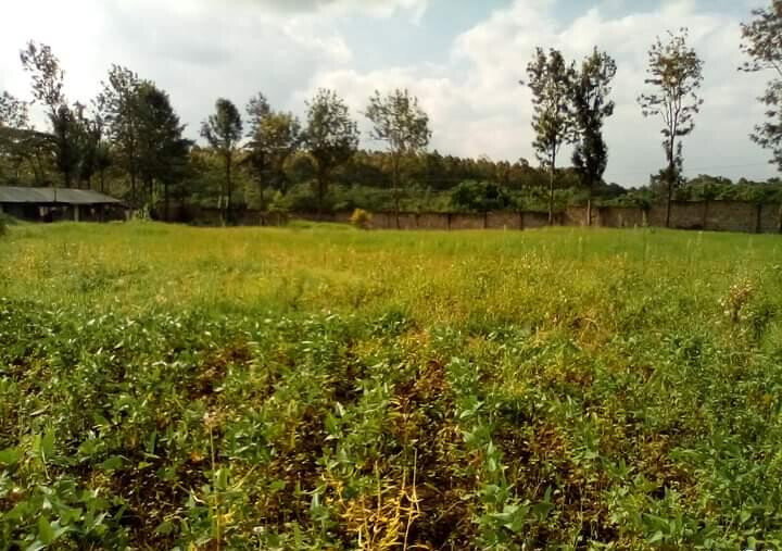 1.3-Acre Karen Plot at KSh 80M