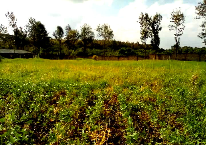 1.3-Acre Karen Plot at KSh 80M