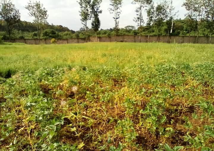 1.3-Acre Karen Plot at KSh 80M