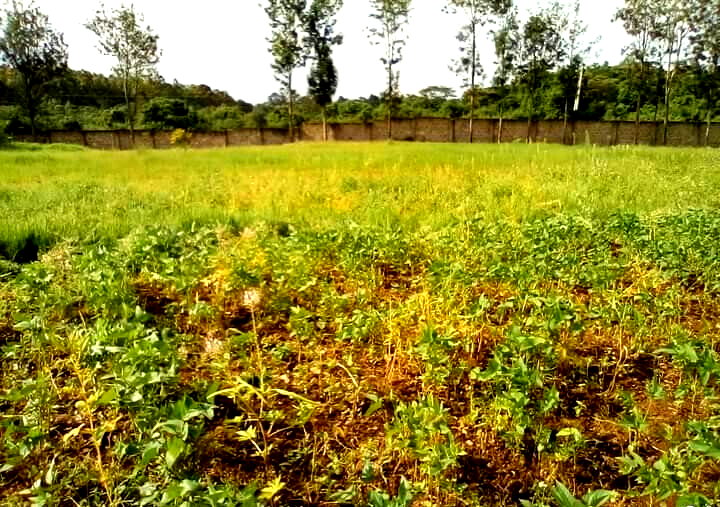 1.3-Acre Karen Plot at KSh 80M