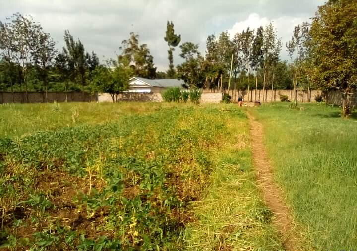 1.3-Acre Karen Plot at KSh 80M