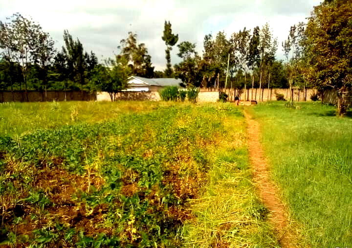 1.3-Acre Karen Plot at KSh 80M