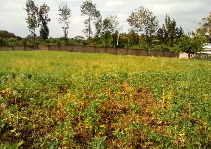 1.3-Acre Karen Plot at KSh 80M