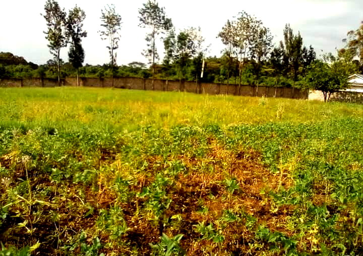 1.3-Acre Karen Plot at KSh 80M