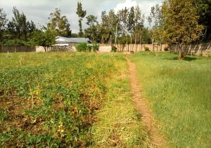 1.3-Acre Karen Plot at KSh 80M