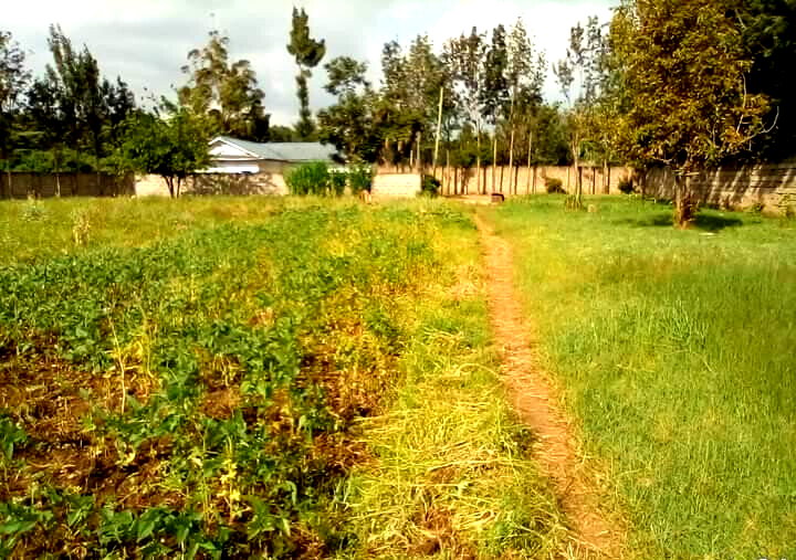1.3-Acre Karen Plot at KSh 80M