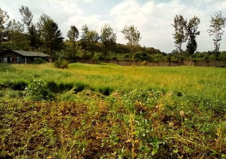 1.3-Acre Karen Plot at KSh 80M