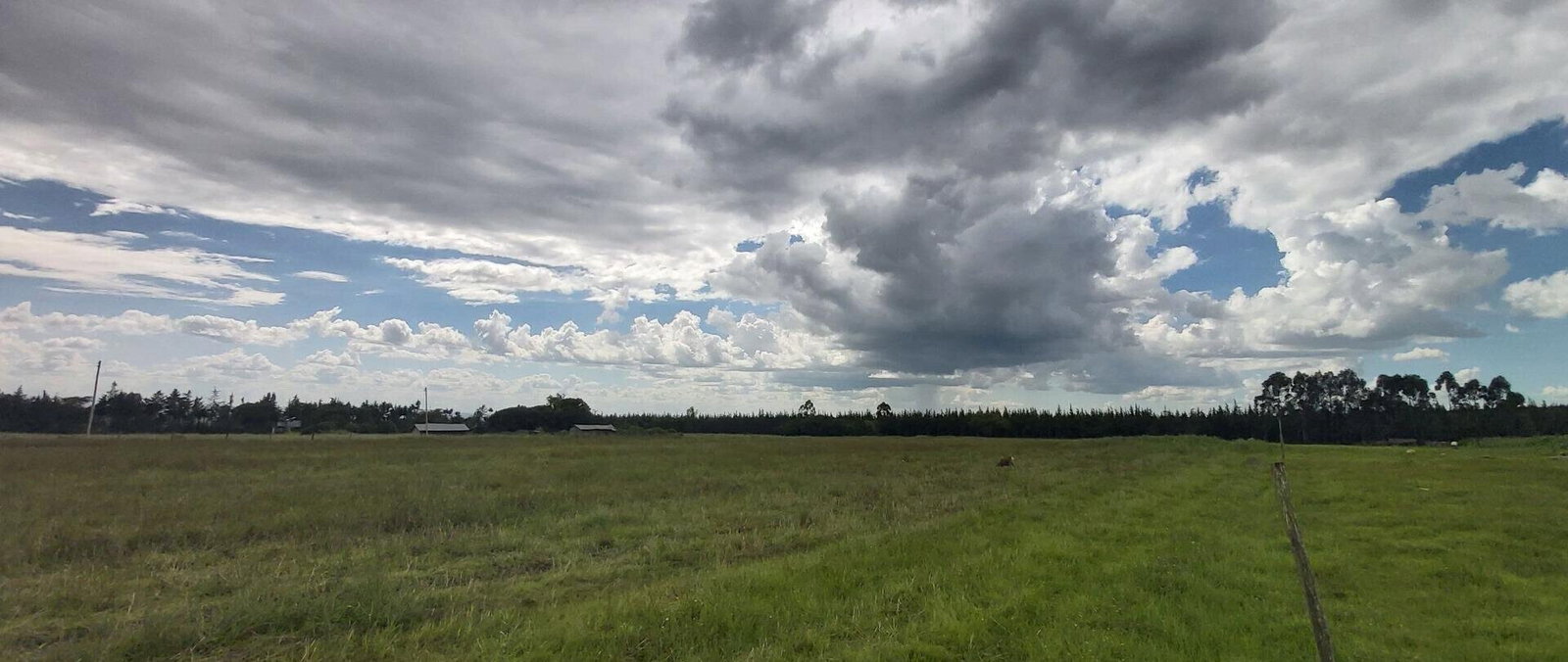 5-Acre Garden Plot with Parking - Nanyuki