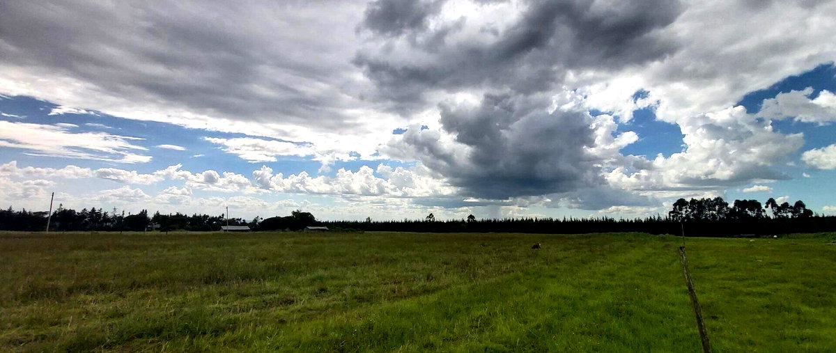 5-Acre Garden Plot with Parking - Nanyuki