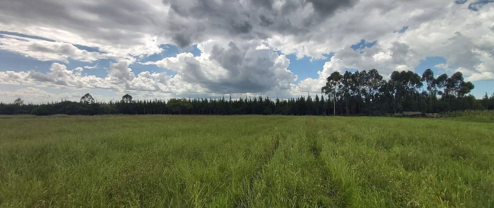5-Acre Garden Plot with Parking - Nanyuki