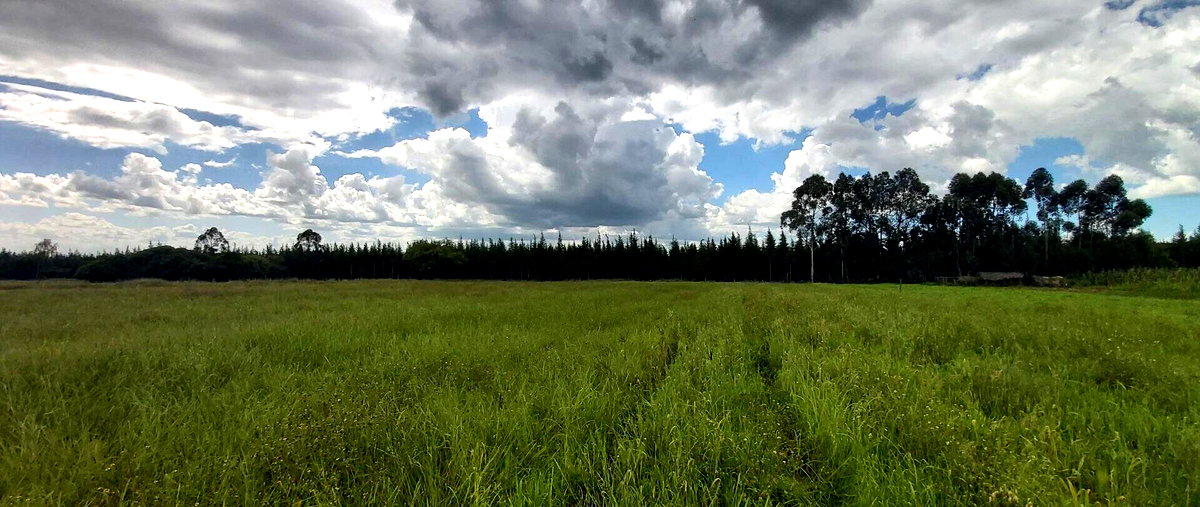5-Acre Garden Plot with Parking - Nanyuki