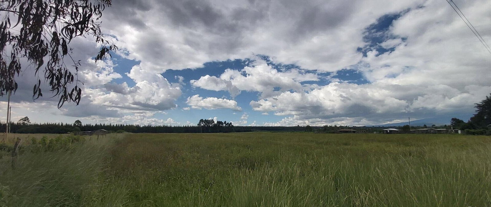 5-Acre Garden Plot with Parking - Nanyuki