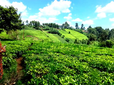 One Acre Parcel of Land Kambaa Githunguri - Image 2