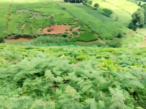 One Acre Parcel of Land Kambaa Githunguri