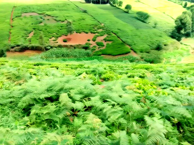 One Acre Parcel of Land Kambaa Githunguri